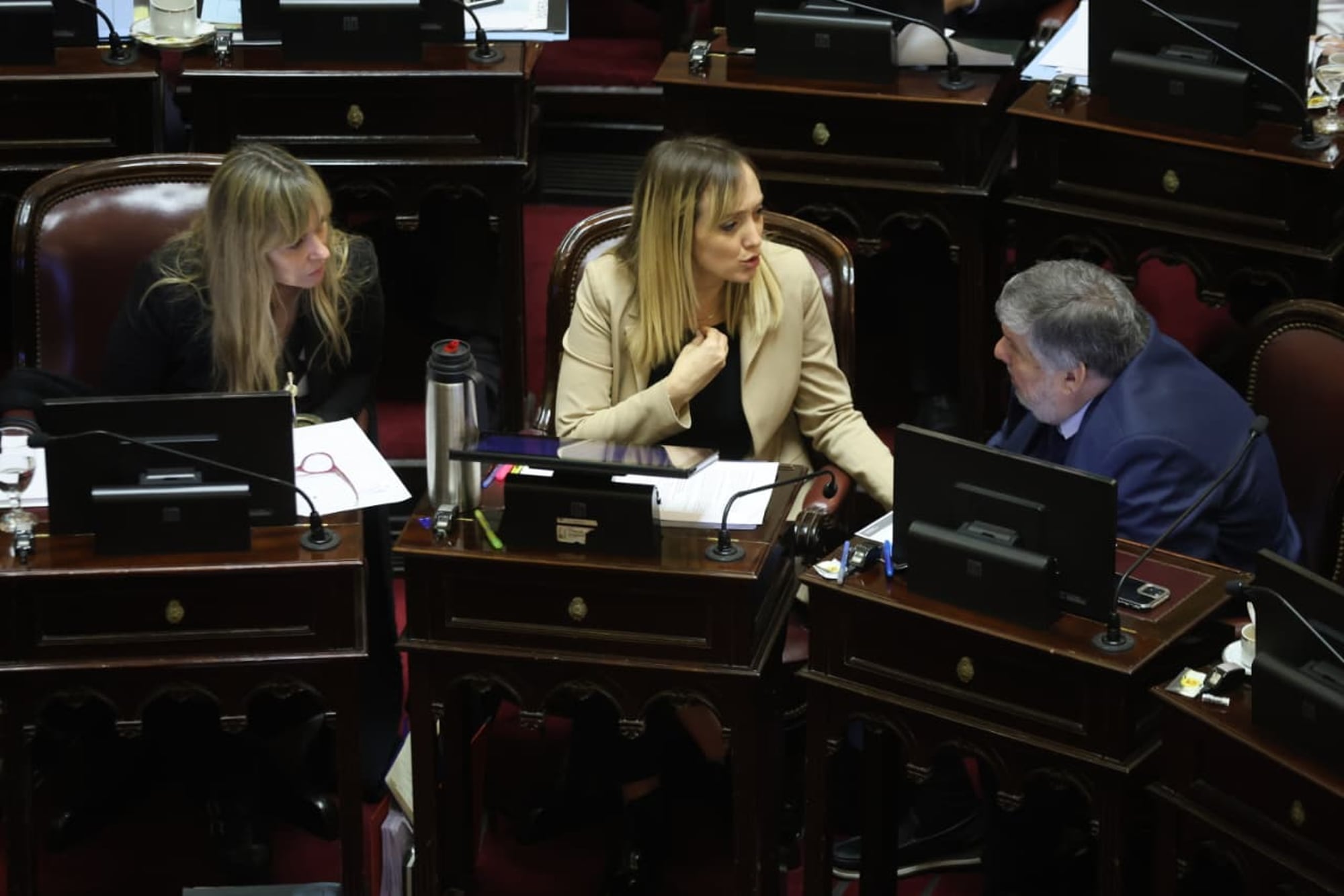 Sesión en el Senado para tratar temas como la emergencia pediátrica y el presupuesto universitario. Anabel Fernández Sagasti y José Mayans