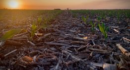 “Momento álgido”: un pronóstico anticipa un episodio climático que intrigará en el final de 2025