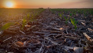 “Momento álgido”: un pronóstico anticipa un episodio climático que intrigará en el final de 2025