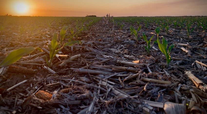 “Momento álgido”: un pronóstico anticipa un episodio climático que intrigará en el final de 2025