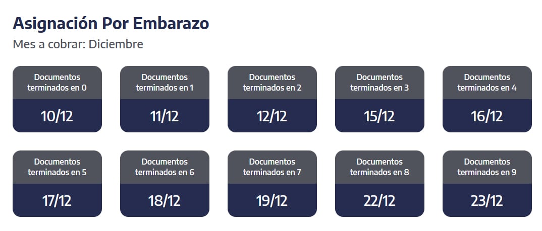 Cuándo se cobra la AUE de diciembre. (Captura: ANSES)