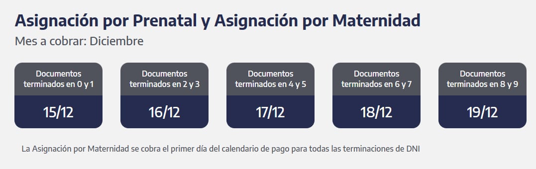 Quiénes reciben hoy la prestación por Prenatal y la Asignación por Maternidad. (Captura: ANSES)