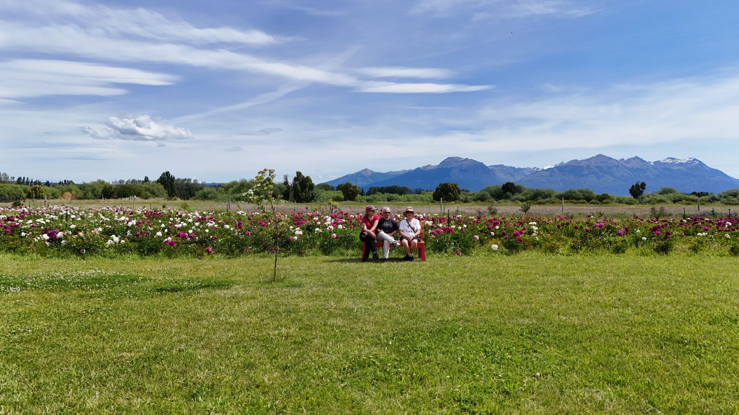 Taiyo, jardín cordillerano en Trevelin.