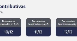 La ANSES reactiva los pagos después del feriado de este lunes 8 de diciembre: quiénes cobran esta semana