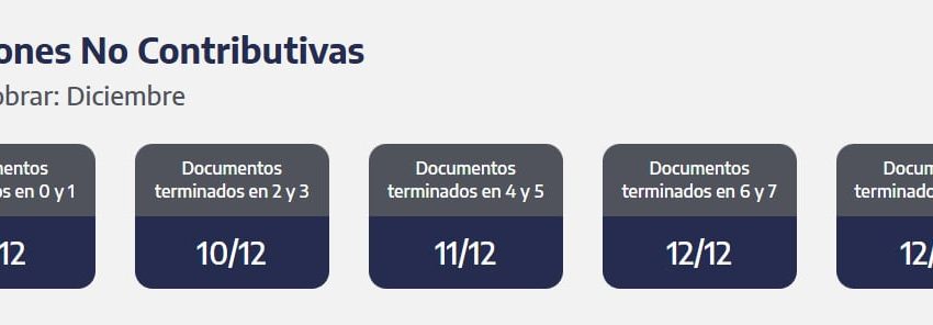 La ANSES reactiva los pagos después del feriado de este lunes 8 de diciembre: quiénes cobran esta semana