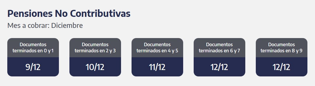 Cuándo se cobran las Pensiones No Contributivas en diciembre. (Captura: ANSES)