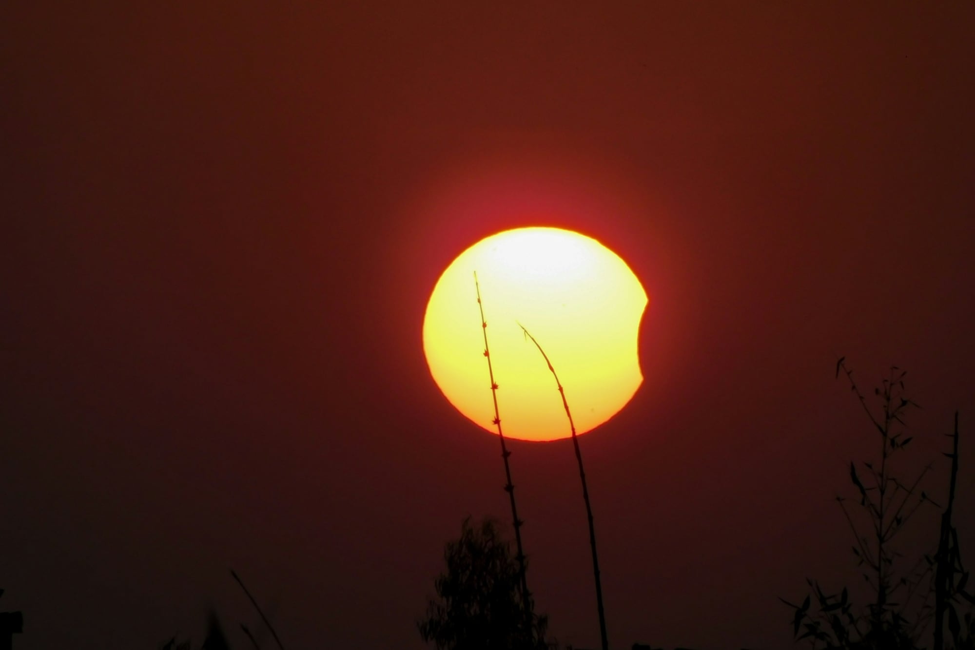 Es posible observar un eclipse solar cuando la Tierra, la Luna y el Sol se alinean