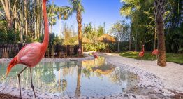 Es uno de los destinos más elegidos por los argentinos y tiene una opción all inclusive sin habitaciones