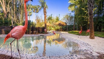 Es uno de los destinos más elegidos por los argentinos y tiene una opción all inclusive sin habitaciones