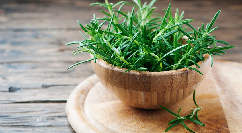 Pocos lo saben: por qué recomiendan poner una rama de romero atada con hilo rojo en la habitación