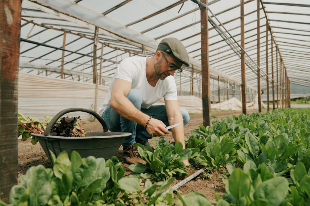 Vegetales recién cosechados, productos de la zona con sabores honestos marcan el recorrido del menú