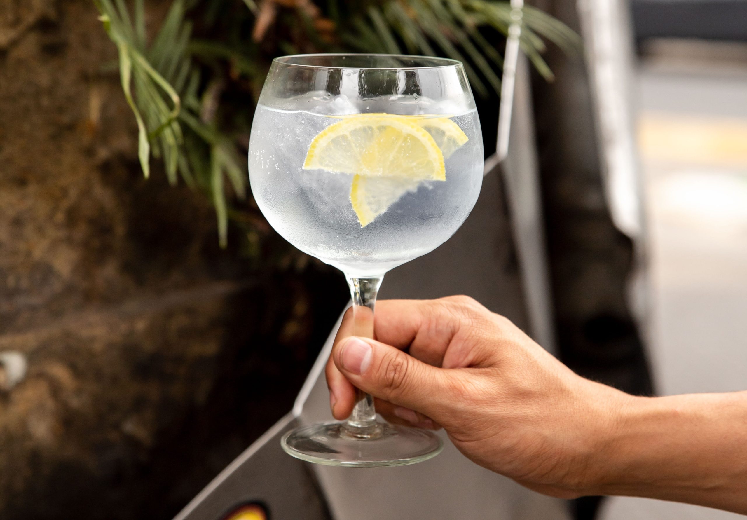 Tres días de happy hour de gin tonic en Desarmadero