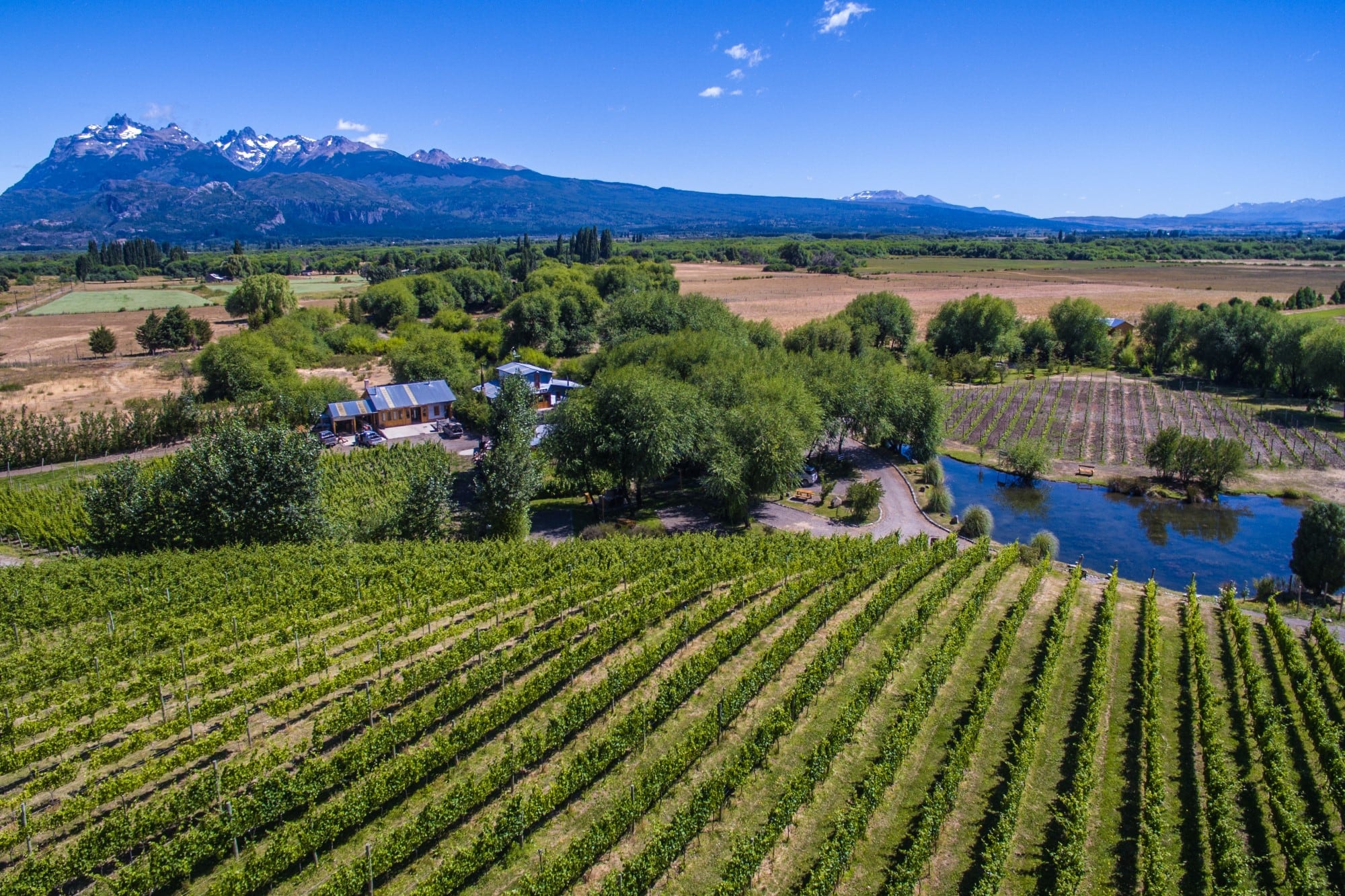 Viñas de Nant y Fall