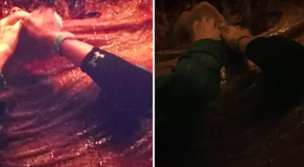 El logo de la marca que vieron la mayoría de los usuarios y que Netflix reeditó