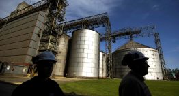 La soja, entre el mercado climático sudamericano y las ventas de Estados Unidos