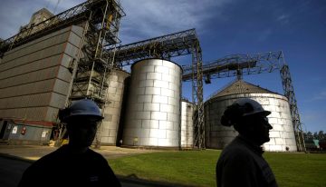 La soja, entre el mercado climático sudamericano y las ventas de Estados Unidos