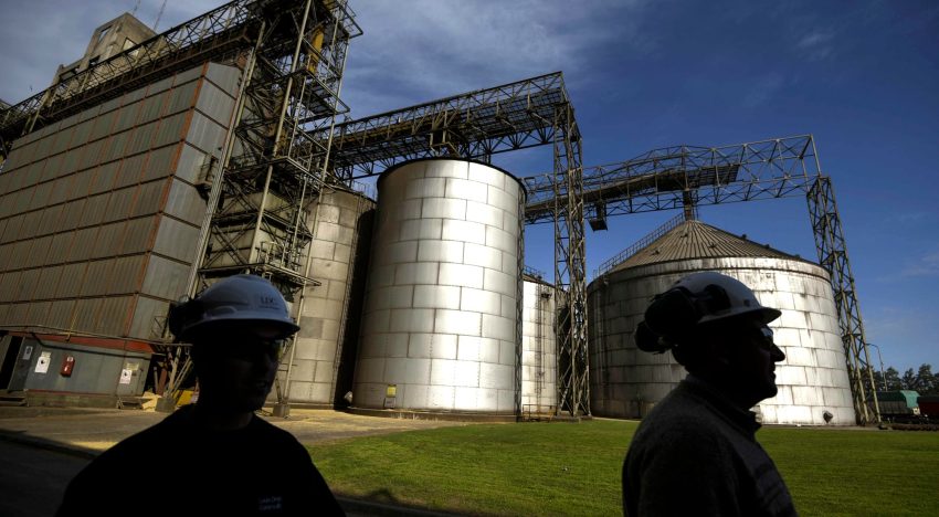 La soja, entre el mercado climático sudamericano y las ventas de Estados Unidos