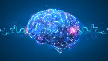 Mucho más que cinco: un investigador asegura que los humanos tenemos 33 sentidos