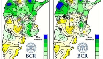 Panorama agrícola: se inició la cosecha de girasol y la zona núcleo recibió lluvias que “valen oro”