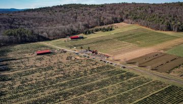Es estadounidense, compró una granja descuidada de árboles de Navidad y la transformó en una atracción