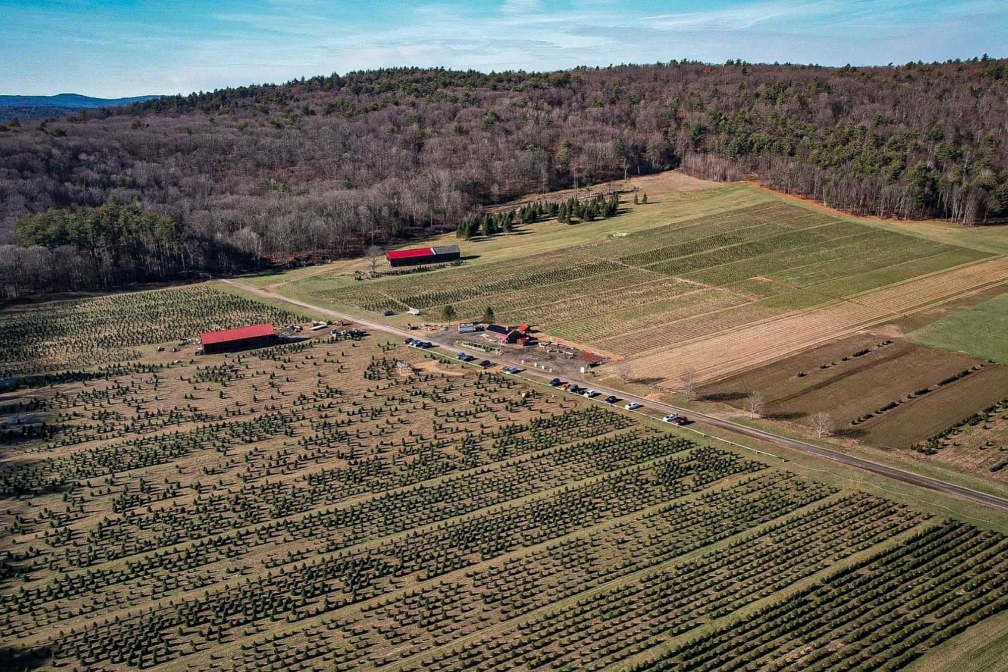 La granja creció como un proyecto familiar, apoyado en experiencia técnica y trabajo cotidiano