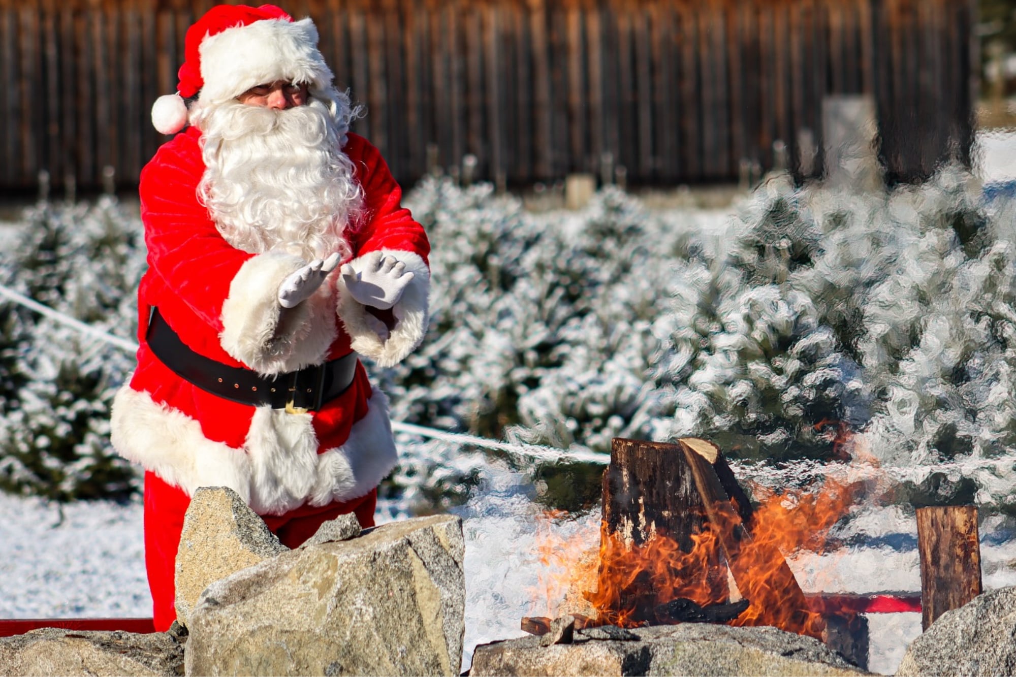 La experiencia busca recrear un clima festivo que va más allá de la compra del árbol