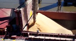 El Consejo Agroindustrial pidió cambios al régimen de inversiones y reclamó una sesión en el Senado