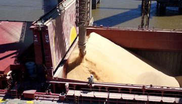 El Consejo Agroindustrial pidió cambios al régimen de inversiones y reclamó una sesión en el Senado