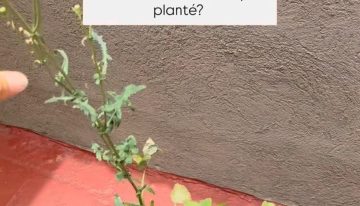 “Besitos a Freud”: el particular ritual de Jimena Barón para conservar las cenizas de su papá