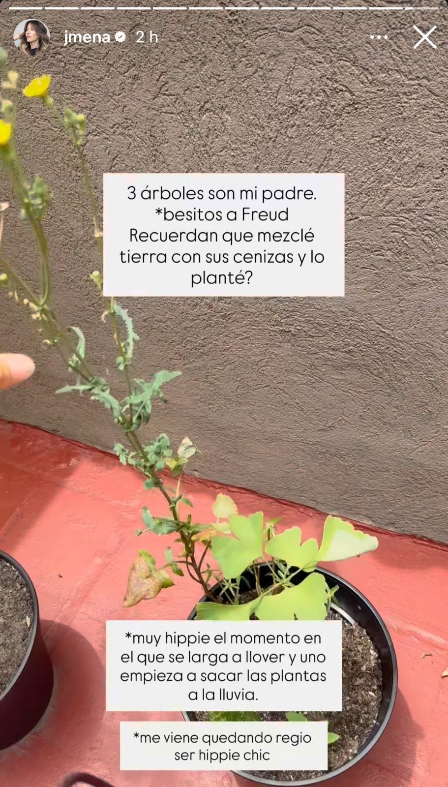 Jimena Barón mostró cómo están los árboles que plantó con las cenizas de su papá. (Foto: Instagram/jmena)