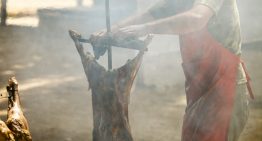 Una investigación aporta una mirada revolucionaria del vínculo entre el dominio del fuego y la inteligencia