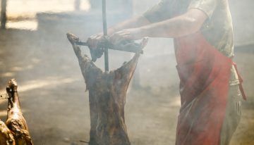 Una investigación aporta una mirada revolucionaria del vínculo entre el dominio del fuego y la inteligencia