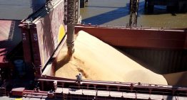 Noviembre marcó un récord “histórico” en exportaciones agrícolas