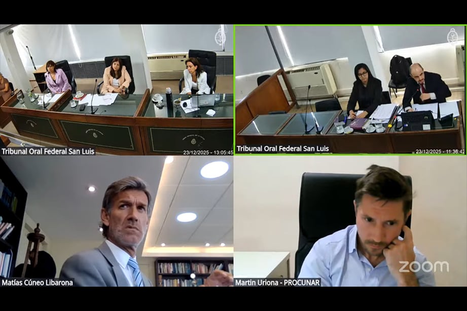 Las tres juezas del TOF de San Luis (arriba a la izquierda); el fiscal federal de la Unidad Fiscal San Luis, Cristian Rachid (arriba a la derecha); y el fiscal coadyuvante de la Procunar, Martín Uriona (abajo a la derecha), durante la audiencia de alegatos.