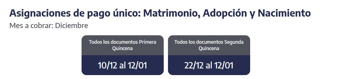 Cuándo cobro las asignaciones de pago único en diciembre 2025 (Foto: ANSES)