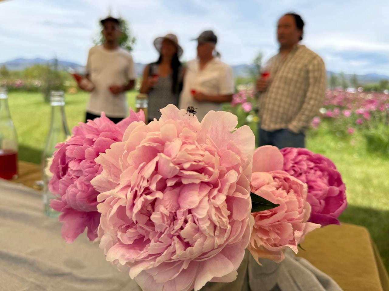 Hanae es un Pet Nat o fermento de peonías, único en el planeta, sostiene el productor de flores Martín Sasaki