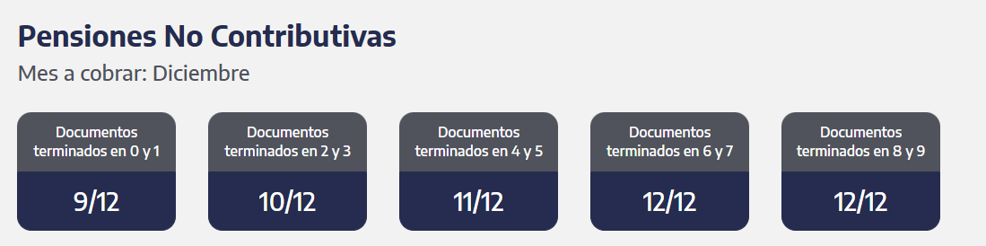 Cuándo cobro las pensiones no contributivas en diciembre 2025 (Foto: ANSES)