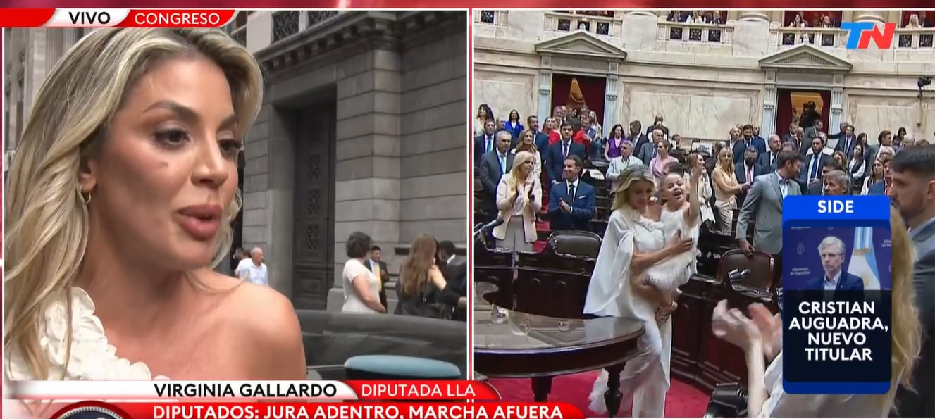 Virginia Gallardo juró como diputada (Foto: captura TN)