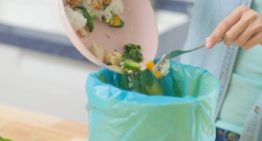 “Mala planificación y almacenamiento”. Se desperdician 72 kilos de alimentos por persona por año, cómo se podrían aprovechar