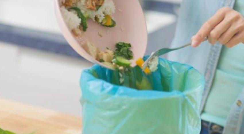 “Mala planificación y almacenamiento”. Se desperdician 72 kilos de alimentos por persona por año, cómo se podrían aprovechar