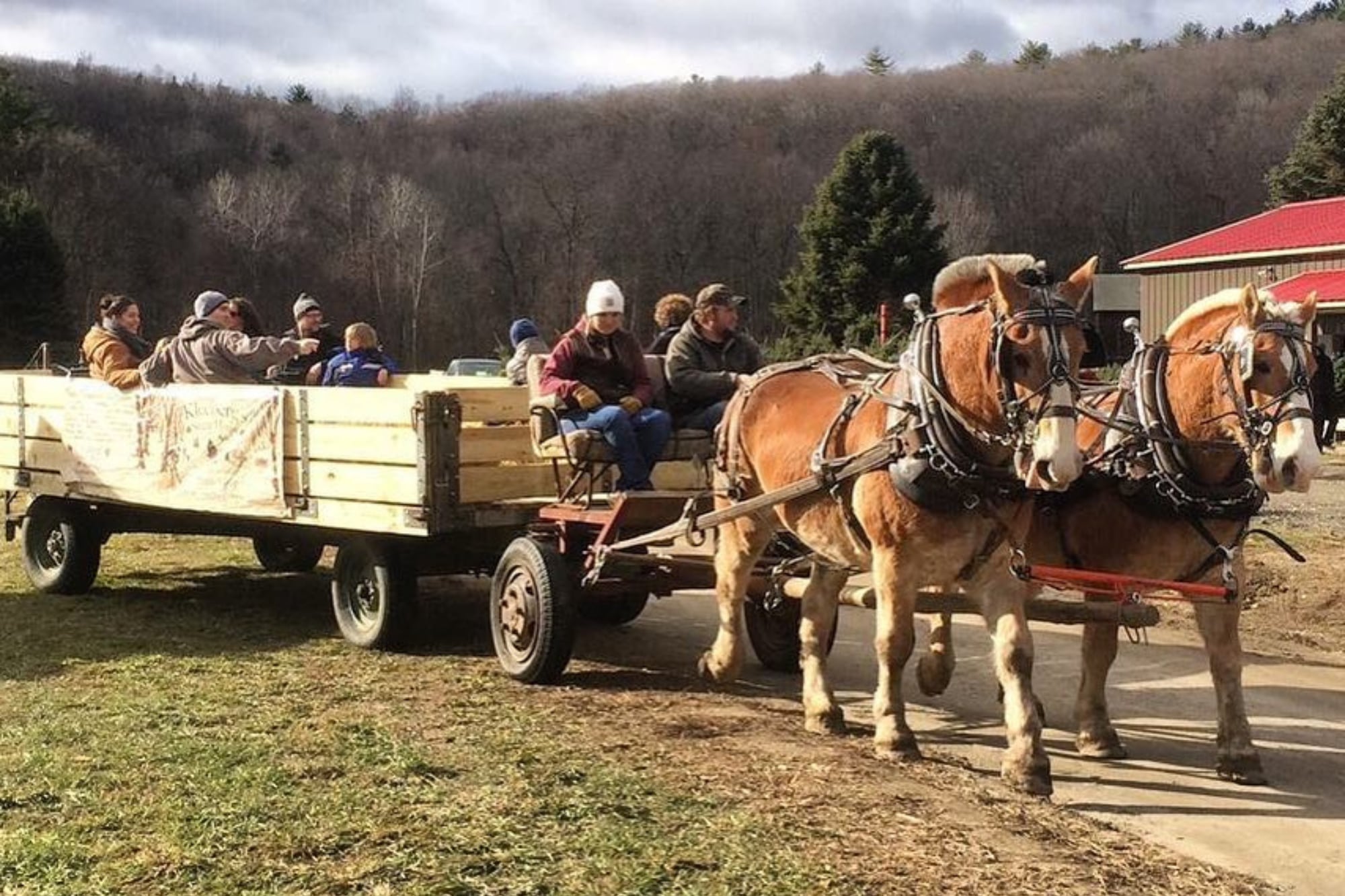 Amigos y trabajadores temporales completan el equipo durante los días de mayor demanda