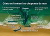 El peligro invisible del verano: cómo se forman los “chupones de mar” que sorprenden en las playas argentinas