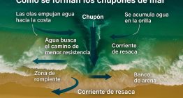 El peligro invisible del verano: cómo se forman los “chupones de mar” que sorprenden en las playas argentinas