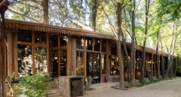 Son hermanos, elaboran el primer single malt 100% andino y buscan competir con los escoceses