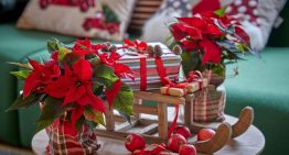 Dónde colocar la estrella federal para atraer prosperidad en la Navidad 2025, según el Feng Shui