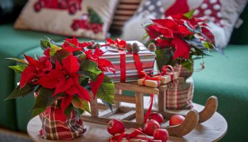 Dónde colocar la estrella federal para atraer prosperidad en la Navidad 2025, según el Feng Shui