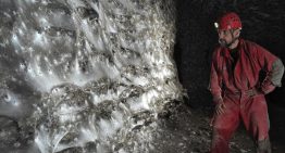 Así es la telaraña más grande del mundo: cubre dos países y tiene más de 100 mil arañas