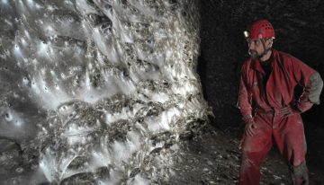 Así es la telaraña más grande del mundo: cubre dos países y tiene más de 100 mil arañas