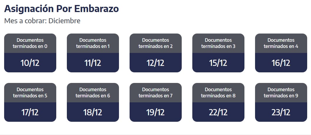 Cuándo se cobra en diciembre la Asignación por Embarazo. (Captura: ANSES)