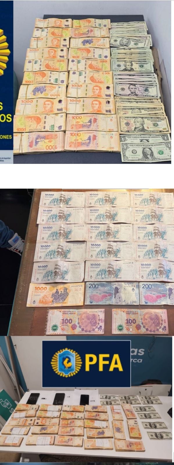 Allanamiento a Sur Finanzas. (Foto: Policía Federal Argentina)